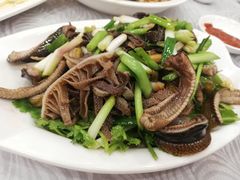 牛百叶捞黄鳝柳-粤·向群饭店(龙津东路总店)