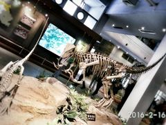 -自贡恐龙博物馆