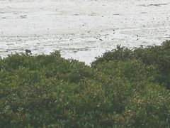-霞山观海长廊