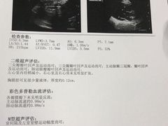 -北京赛佳动物医院