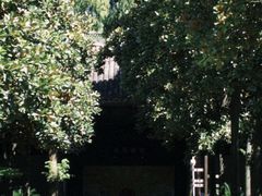 -太平天国侍王府