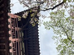 -西安青龙寺遗址景区