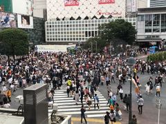 -涩谷区