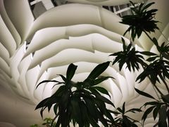 景观位-大树餐厅(朝阳大悦城店)