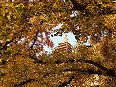 -北京石刻艺术博物馆(五塔寺)