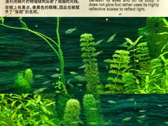 -上海海洋水族馆