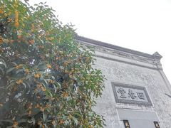 -南宋御街