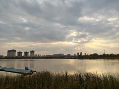 -九龙湖公园