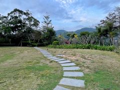 -银湖山郊野公园-相思林