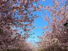 -南山风景名胜区