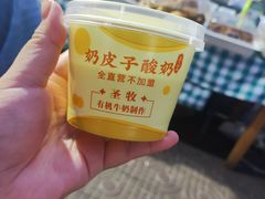 -紫光园(劲松店)