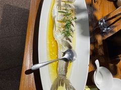 -金枝玉叶上海人家食府(三里河店)