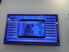 -北京观赏动物医院·24小时大型综合·猫专科·异宠专科