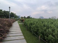 -深圳湾公园(南山区)