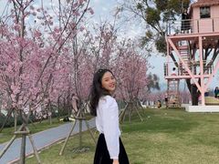 -福建鲤鱼洲酒店