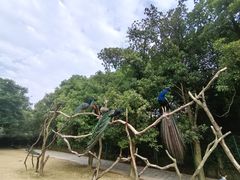 -杭州野生动物世界