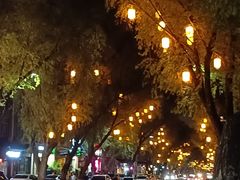 -清宫宴酒楼·计氏松枝包子