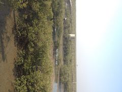 iphone_upload_pic-北海金海湾红树林生态旅游区