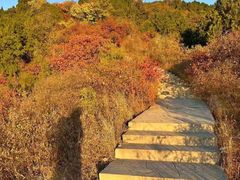 -香山公园