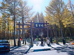 -塞罕坝国家级自然保护区