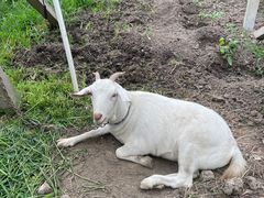 -美家乐农庄·露营·团建(大治路店)