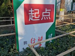 -大兴滨河森林公园