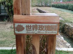 -亚龙湾国际玫瑰谷