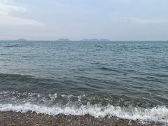 -棒棰岛宾馆景区