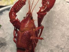 -明州府(文化广场店)