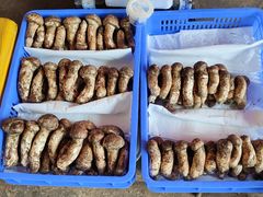 松茸-云南木水花野生菌交易中心