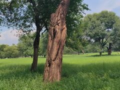 -承德避暑山庄景区