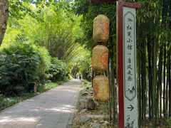 -望江楼公园