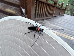 -黄崖洞文化旅游区