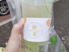 -树夏(建设路店)