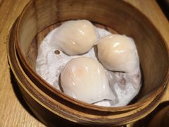 -纽斯特牛排自助餐厅(浦东文峰广场店)
