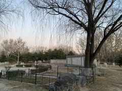 -石榴庄公园