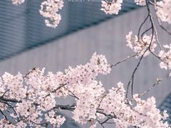 -龙美术馆(西岸馆)