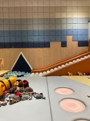 -超级奈尔宝SUPER NEOBIO(杭州星光店)