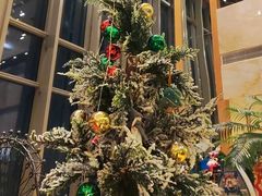 -视界美食自助餐厅·石家庄希尔顿酒店