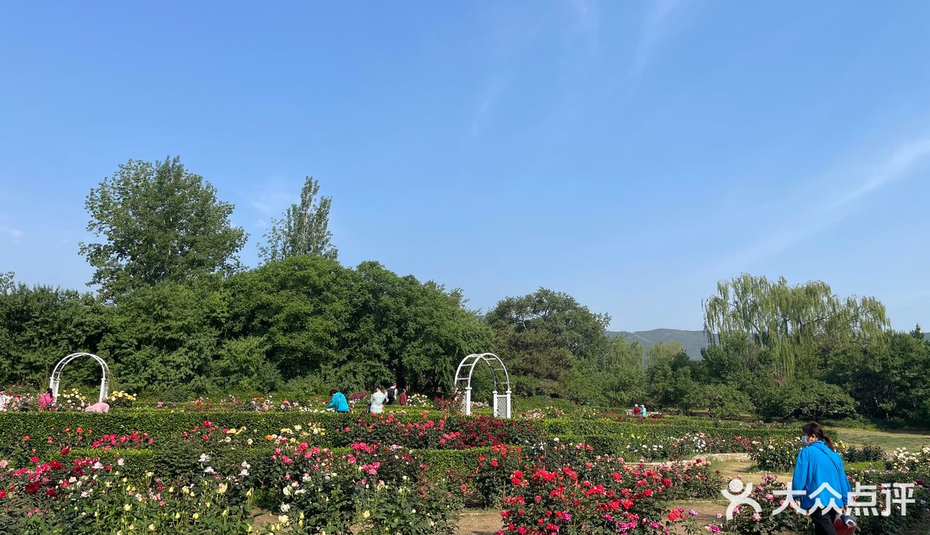 北京植物园 门票五块钱，便宜哭了