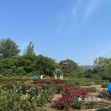 北京植物园 门票五块钱，便宜哭了