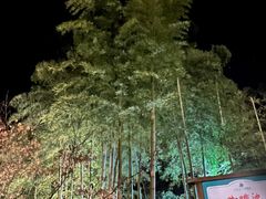 -江南天池高山汤泉城
