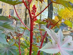 -森林公园(尖草坪区)