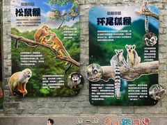 -成都动物园
