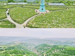 -戎子酒庄