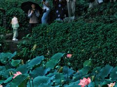 -荔湾湖公园