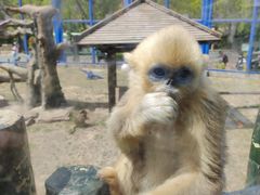 -大连森林动物园