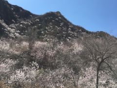 -碓臼峪自然风景区