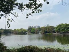 -荔湾湖公园