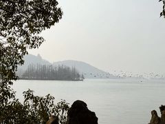 -东湖落雁景区